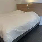 Stadsappartement Valkhof 公寓 奈梅亨