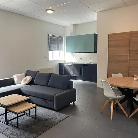 Stadsappartement Valkhof Apartment *